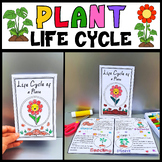 Plant Life Cycle Craft Spring Science Life Cycle of a Plan