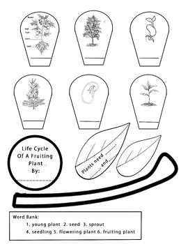 Preview of Plant Life Cycle Cut, Label, and Paste