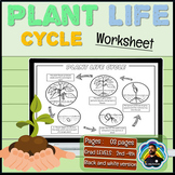 Root to Bloom: Interactive Plant Life Cycle Cut-and-Paste 