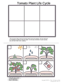 Preview of Plant Life Cycle Cutting and Sorting Worksheet