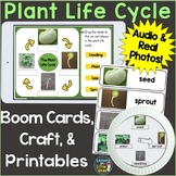 Plant Life Cycle Digital Boom Cards & Printable Pages, Cra