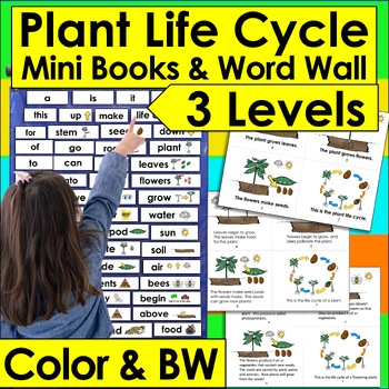 Preview of Plant Life Cycle Differentiated Mini Books - 3 Levels + Illustrated Word Wall