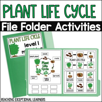 Preview of Plant Life Cycle File Folder Activities