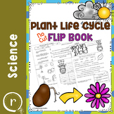 Plant Life Cycle Flip Book No Prep {No Cutting Flipbook}