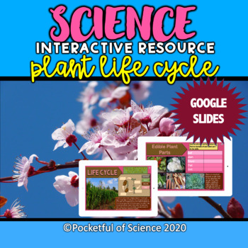 Preview of Plant Life Cycle Google Slides Digital Interactive Resource