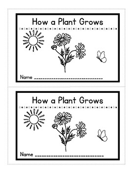 Preview of Plant Life Cycle Grow Flower Mini Book Spring Emergent Reader Booklet Reading