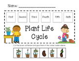 Plant Life Cycle In Order