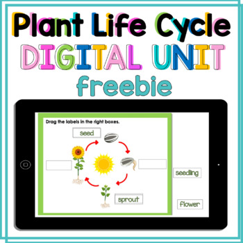 Preview of Plant Life Cycle Interactive Digital Resource Freebie