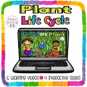 Preview of Plant Life Cycle Interactive Google slides/Google Classroom