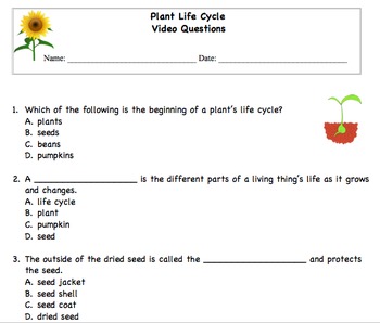 Preview of Plant Life Cycle Multiple Choice Questions - Distance Learning