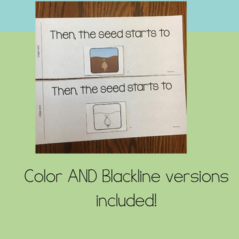 Life Cycle of a Plant Activities for Kindergarten by Pencils and Chalk