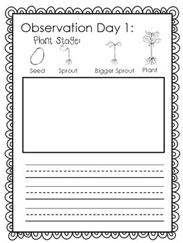 Plant Life Cycle Observation Journal by Lemon Parade | TpT