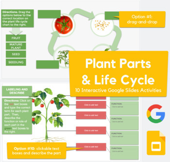 Preview of Plant Life Cycle, Parts and Flower Parts - drag-drop, describe | REMOTE LEARNING