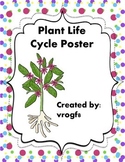 Plant Life Cycle Poster