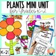 PLANTS MINI UNIT for Kindergarten and First Grade by Star Kids | TpT