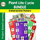 Life Cycle of a Plant BUNDLE 8 Science Projects Interactiv