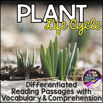 Preview of Plant Life Cycle Reading Comprehension Passages, Life Cycle of a Plant