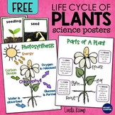 Plant Life Cycle Science Posters with Parts of a Plant & Photosynthesis (FREE)