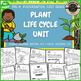 Plant Life Cycle Science Worksheets PreK Kindergarten Firs