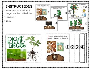 Plant Life Cycle [Sequencing Book] by Preschoolers and Sunshine | TpT