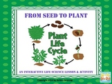 Plant Life Cycle Sort & Vocabulary Activity