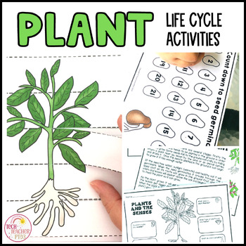 Plant Life Cycle Activities by Tech Teacher Pto3 | TPT