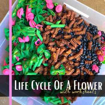 Preview of Plant Life Cycle, Spring STEM activity, sorting by color and shape