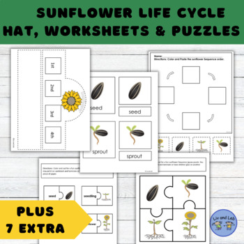 Plant Life Cycle Sunflower Craft Spring Activities by Liv and Leb