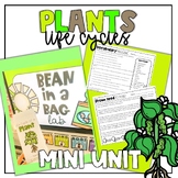 Plant Life Cycle Unit with "Bean in a Bag" Lab