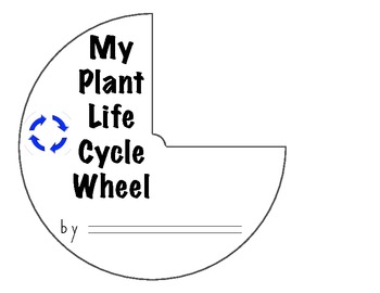 paper wheel plant life cycle activity
