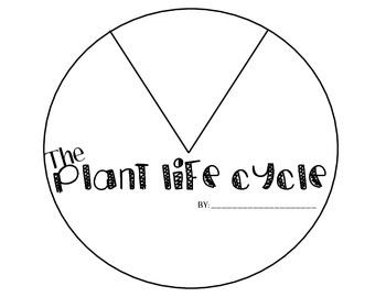 paper wheel plant life cycle activity