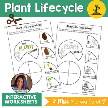 Preview of Plant Life Cycle Wheel  {Activity} - Ms Marwa Tarek