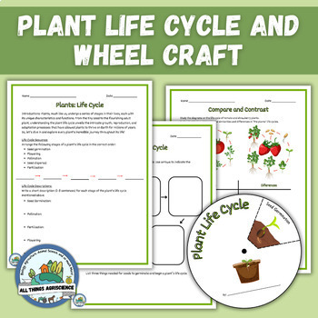 Preview of Plant Life Cycle Wheel Craft & Worksheets - The Life Cycle of a Plant Activity