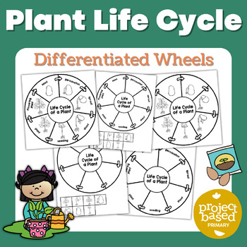 Preview of Plant Life Cycle Wheels
