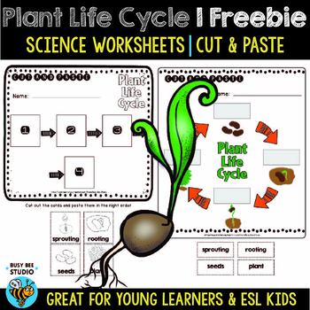 Preview of Plant Life Cycle Worksheets | Cut and Paste | Freebie