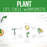 Plant Life Cycle Worksheets Printable Pack