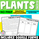 Parts of a Plant Worksheets with Adaptations, Needs, and S