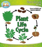 Plant Life Cycle and Life Stages Clipart {Zip-A-Dee-Doo-Da