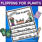 Plant Life Cycle and Parts of a Plant Flip Book Flipping for Plants