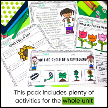 Plant Life Cycle and Parts of a Plant Worksheets | First and Second
