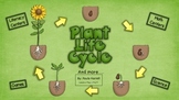Plant Life Cycle and more! (Common Core Aligned)