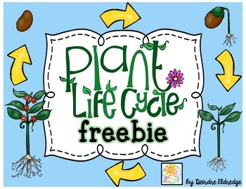 Preview of Plant Life Cycle {freebie}