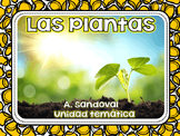 Plant Life Cycle in Spanish