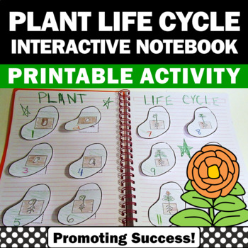 Preview of Plant Life Cycle Craft Bean Plants Structures and Functions Interactive Notebook