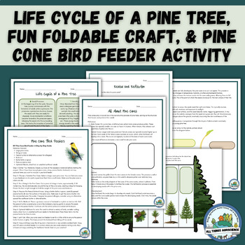 Preview of Plant Life Cycle of a Pine Tree, Christmas Tree, Foldable Craft Winter Activity