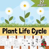Plant Life Cycle unit. Cut and paste, sequence, writing, s