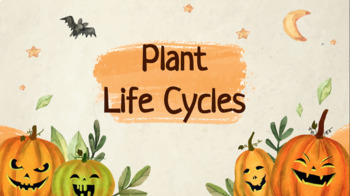Preview of Plant Life Cycles - Science