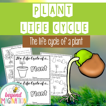 Preview of Plant Lifecycle Booklet | Earth Day Learning Activity