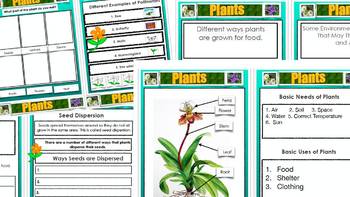 Preview of Plant Mini Booklet For Students PDF - Science, Plant Parts, etc. A GREAT PRICE!!
