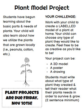 Preview of Plant Model Project [TAKE-HOME]